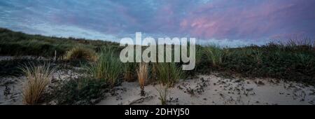 Panorama d'un soleil bleu et violet se coucher derrière une dune, au coucher du soleil. Couverture longue ou médias sociaux. Banque D'Images