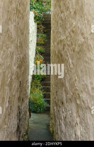 Ruelle étroite entre les maisons avec escalier couvert de fleurs Banque D'Images