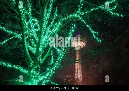 11 décembre 2020, Niagara Falls Ontario Canada. Plus de 3 millions de lumières couvrent Niagara Pkwy sur 8 kilomètres au Festival d'hiver des lumières de Niagara FAL Banque D'Images