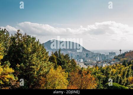 Vue sur la ville et le port de Busan avec arbres d'automne au parc Jungang (parc Daecheong) à Busan, en Corée Banque D'Images