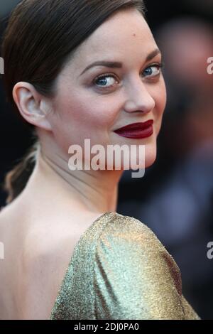 Photo du dossier : Marion Cotillard assistez à la première du pays de la Lune (mal de pierres) lors du 69e Festival annuel de Cannes au Palais des Festivals le 15 mai 2016 à Cannes, dans le sud de la France. Presque dès que les nouvelles ont éclaté au sujet du divorce de Brad Pitt et Angelina Jolie, les gens ont commencé à pointer du doigt. Et la plupart ont été dirigés contre sa co-star alliée Marion Cotillard. Mais les amis de l’actrice française se sont précipités vers sa défense, disant qu’elle serait « absolument dévastée » par des suggestions qu’elle aurait tout rôle à jouer dans cette scission sensationnelle, ou qu’elle n’était pas fidèle à son partenaire, f Banque D'Images