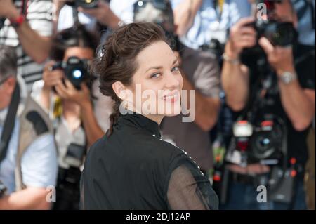 Photo du dossier : Marion Cotillard à un photocall pour le film 'juste la fin du monde' dans le cadre du 69e Festival International du film de Cannes, au Palais des Festivals de Cannes, dans le sud de la France, le 19 mai 2016. Presque dès que les nouvelles ont éclaté au sujet du divorce de Brad Pitt et Angelina Jolie, les gens ont commencé à pointer du doigt. Et la plupart ont été dirigés contre sa co-star alliée Marion Cotillard. Mais les amis de l’actrice française se sont précipités vers sa défense, disant qu’elle serait « complètement dévastée » par des suggestions qu’elle aurait tout rôle à jouer dans cette scission sensationnelle, ou qu’elle n’était pas fidèle à son partenaire, Banque D'Images