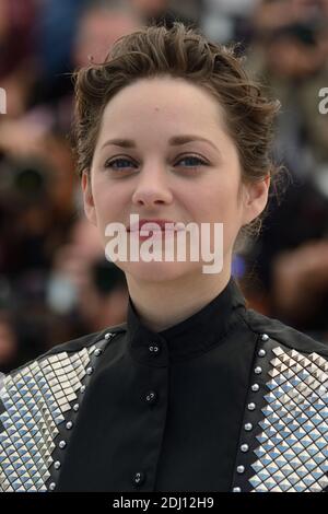 Photo du dossier : Marion Cotillard participe au photocall 'juste la fin du monde' au Palais des Festivals de Cannes, France, le 19 mai 2016, dans le cadre du 69e Festival de Cannes. Presque dès que les nouvelles ont éclaté au sujet du divorce de Brad Pitt et Angelina Jolie, les gens ont commencé à pointer du doigt. Et la plupart ont été dirigés contre sa co-star alliée Marion Cotillard. Mais les amis de l’actrice française se sont précipités vers sa défense, déclarant qu’elle serait « absolument dévastée » par des suggestions qu’elle aurait tout rôle à jouer dans cette scission sensationnelle, ou qu’elle n’était pas fidèle à son partenaire, Guillaume Cane, son coacteur Banque D'Images