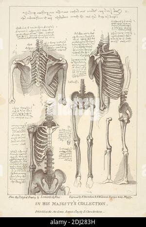 Fiche d'études anatomiques des os postérieurs à la craniale, Francesco Bartolozzi RA, 1728–1815, italien, actif en Grande-Bretagne (1764–99), après Leonardo da Vinci, 1452–1519, italien, 1795, gravure Banque D'Images