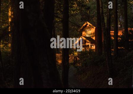 Une cabine isolée nichée dans la forêt de séquoias dans les montagnes de Santa Cruz en Californie. Banque D'Images