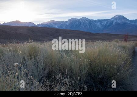 Tinemaha Reservoir est un lac du comté d'Inyo, en Californie, aux États-Unis, qui fournit de l'eau aux villes du sud de la Californie. C'est une maison à la faune comme les oiseaux. Banque D'Images