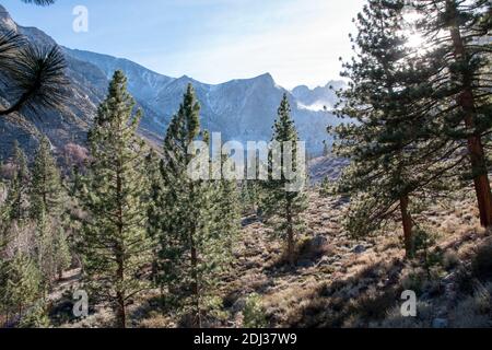 Les sentiers de randonnée au-dessus du terrain de camping de Big Pine Creek offrent d'excellentes vues sur les pics de l'est de la Sierra dans le comté d'Inyo, en Californie, aux États-Unis. Banque D'Images