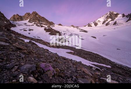 Ambiance nocturne, Glacier du Tour, Glacier et sommets de montagne, paysage alpin, tête Blanche, petite et Grande Fourche sur la gauche, aiguille du Banque D'Images