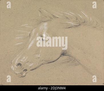 Tête et cou d'un cheval effrayé, profil gauche, Henry Thomas Alken, 1785–1851, British, non daté, Graphite et gouache blanc sur papier épais, rugueux, brun, vélin, feuille: 4 9/16 × 5 1/2 pouces (11.6 × 14 cm), bordure dessinée contemporaine: 4 3/8 × 5 5/16 pouces (11.1 × 13.5 cm), et image : 4 1/4 × 5 3/16 pouces (10.8 × 13.2 cm), art animal Banque D'Images