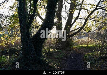 Five Arches, Foots Cray Meadows, Sidcup, Kent. ROYAUME-UNI Banque D'Images