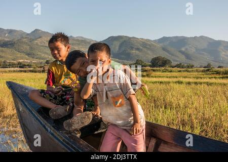 Région de Maing Thauk, lac Inle, Myanmar - 24 novembre 2014 : trois garçons de la région donnent leur sourire aux touristes dans les champs autour du lac Inle. Banque D'Images