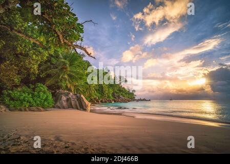 magnifique coucher de soleil sur la plage tropicale à anse georgette sur praslin, seychelles Banque D'Images