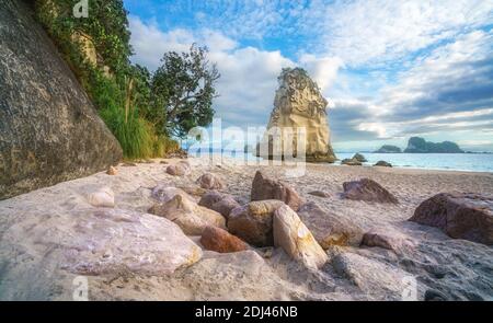 Les pierres dans le sable, l'herbe verte sur la falaise et de grès monolithe de roche dans l'eau de plage de la cathédrale,coromandel, Nouvelle-Zélande Banque D'Images