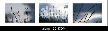 Abstrait calme paysages dans Triptych Banque D'Images