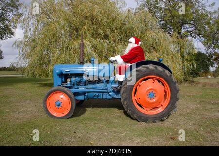 Père Noël conduite d'un tracteur bleu Fordson Dexta dans un pré Banque D'Images