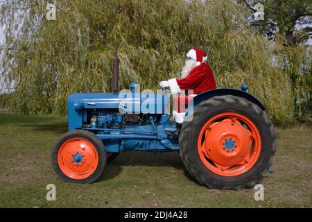 Père Noël conduite d'un tracteur bleu Fordson Dexta dans un pré Banque D'Images