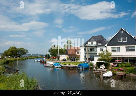 An der Uferpromenade, Promenade, Steinhude, Wunstorf, Steinhuder Meer, Niedersachsen, Deutschland Banque D'Images