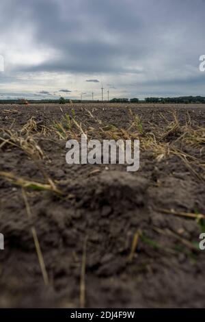 Terres agricoles sur le Liesker Weg sur le chemin de Welzow. Les éoliennes peuvent être vues en arrière-plan. Banque D'Images