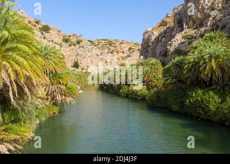 Vue aérienne de la rivière Kourtaliotis bordée de palmiers menant à la plage de Preveli, Crète, Grèce Banque D'Images