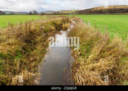 Fossé de drainage agricole pour éliminer l'excès d'eau des champs engorés sur une ferme Banque D'Images