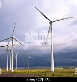 Éoliennes Banque D'Images