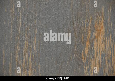 Texture du bois. Arborescence de gros plan. Arrière-plan avec texture bois clair. Banque D'Images