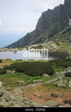 Panorama avec lac de montagne à High Tatra, Slovaquie, Europe Banque D'Images