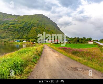 Paysage d'été Lofoten .Lofoten est un archipel dans le comté de Nordland, en Norvège. Est connu pour son paysage distinctif avec des montagnes spectaculaires Banque D'Images