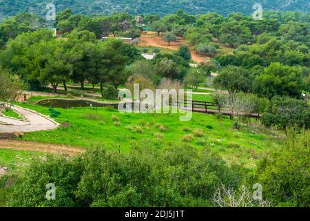 Paysage de la réserve naturelle de Hai-Bar Carmel, et des pentes du Mont Carmel. Nord d'Israël Banque D'Images