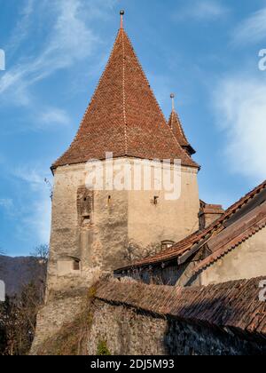 Sighisoara Roumanie - 11.26.2020: Vue sur la Tour des constructeurs (Turnul Cizmarilor) située au nord-est de la citadelle de Sighişoara. Banque D'Images