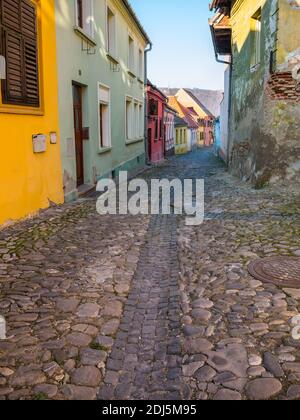 Scène colorée avec rues pavées et vieux bâtiments de la forteresse médiévale de Sighisoara, en Roumanie. Banque D'Images