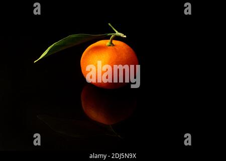 Mandarine mûre avec feuilles de gros plan sur fond noir. Banque D'Images