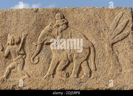 Hampi, Karnataka, Inde - 4 novembre 2013 : sculpture murale sur pierre brune à l'enceinte royale. Gros plan de l'homme dirigeant l'éléphant avec une personne sur le dessus. Banque D'Images