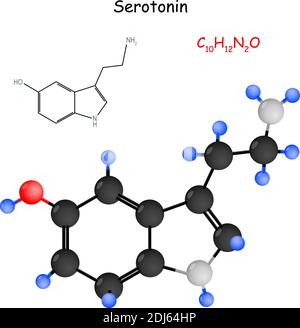 Sérotonine. Neurotransmetteur monoamine. Sa fonction biologique est de moduler l'humeur, la cognition, l'apprentissage, la mémoire et la vasoconstriction Illustration de Vecteur