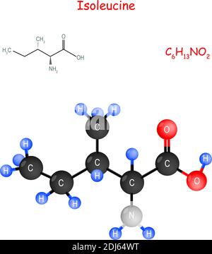 L'isoleucine est un acide aminé essentiel. Formule structurale chimique et modèle de molécule. C6H13NO2. Illustration vectorielle à usage éducatif Illustration de Vecteur