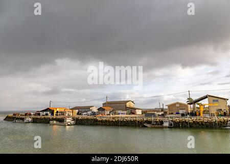 Port de Larros dans la baie d'Arcachon - Gujan-Mestras, Aquitaine, France Banque D'Images