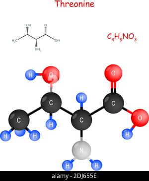 La thréonine est un acide aminé essentiel pour la biosynthèse des protéines. Formule structurale chimique et modèle de molécule. C4H9NO3. Illustration vectorielle Illustration de Vecteur