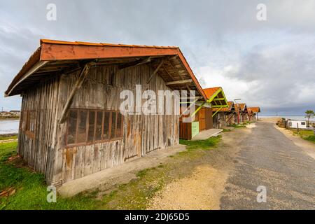 Cabanes d'huîtres dans le port de Larros dans la baie d'Arcachon - Gujan-Mestras, Aquitaine, France Banque D'Images