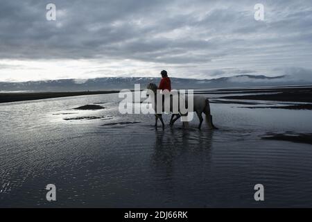 Équitation des chevaux islandais sur la plage de sable, Husey, Islande Banque D'Images