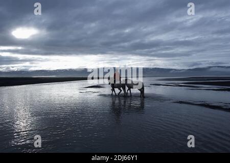 Équitation des chevaux islandais sur la plage de sable, Husey, Islande Banque D'Images