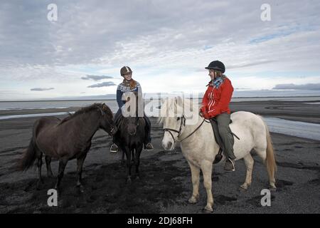 Équitation des chevaux islandais sur la plage de sable, Husey, Islande Banque D'Images