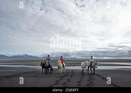 Équitation des chevaux islandais sur la plage de sable, Husey, Islande Banque D'Images