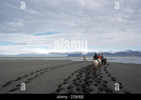 Équitation des chevaux islandais sur la plage de sable, Husey, Islande Banque D'Images