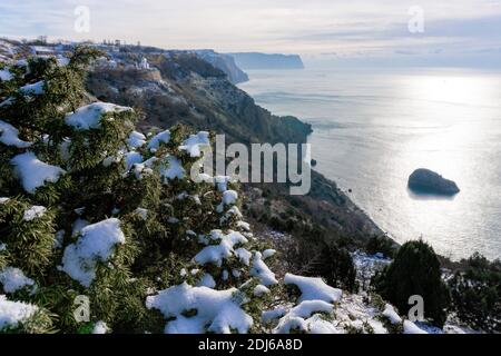 Des branches et des cônes de genévrier sous la neige et la glace, éclairés par la lumière du soleil. Juniperus oxycedrus. Hiver. baies de genévrier sous la neige. Le concept de Banque D'Images