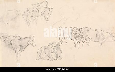 Vaches avec taureau dans la forêt, Sawrey Gilpin, 1733–1807, Britannique, non daté, encre de plume et noire et graphite sur papier crème, moyen, légèrement texturé, feuille: 7 × 10 7/8 pouces (17.8 × 27.6 cm), art animal, animaux, taureau, vaches, pâturage, repos Banque D'Images