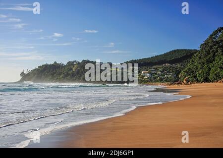 Hot Water Beach, le Mercure Bay, péninsule de Coromandel, de la région de Waikato, Nouvelle-Zélande, île du Nord Banque D'Images