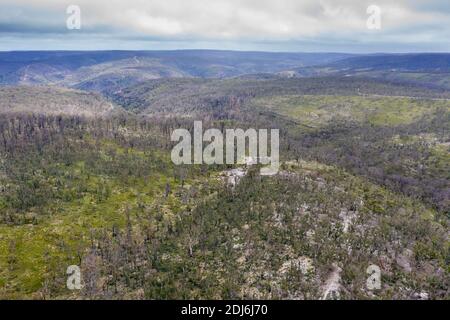 Photographie aérienne de la régénération forestière après les feux de brousse près de Clarence in Les Tablelands centraux de la Nouvelle-Galles du Sud en Australie Banque D'Images