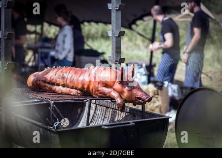 Un porc grillé au charbon traditionnel et au feu. Le petit porc est rôti tout entier sur un feu ouvert. Banque D'Images