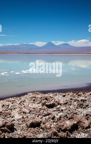 Laguna Tebenquicne, un lagon d'eau salée dans le Salar de Atacama, réserve nationale de Los Flamencos, Chili. Banque D'Images