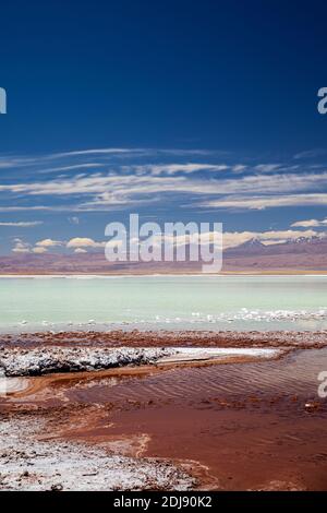Laguna Tebenquicne, un lagon d'eau salée dans le Salar de Atacama, réserve nationale de Los Flamencos, Chili. Banque D'Images